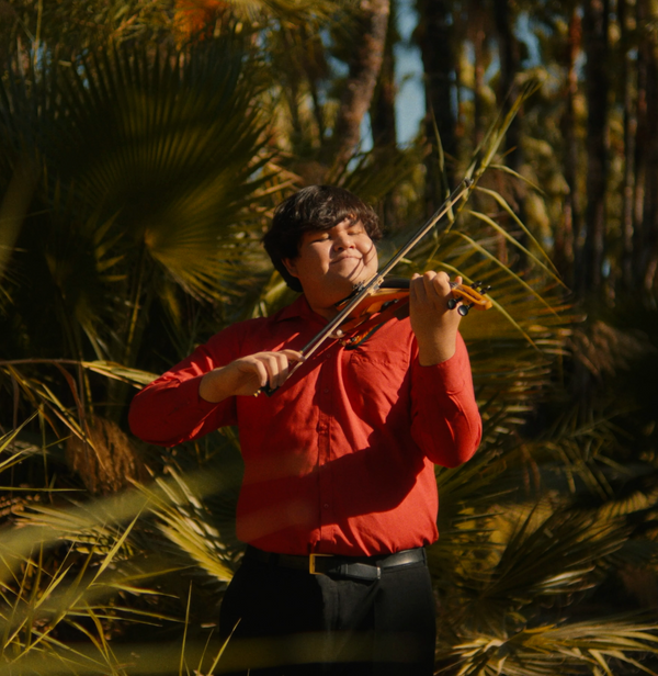 Mike Violín