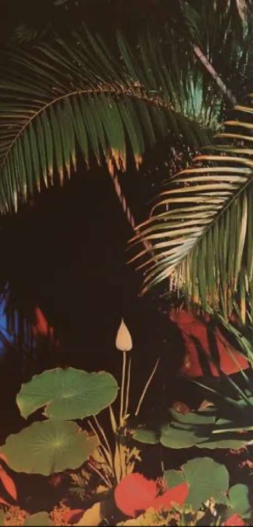 El conteo